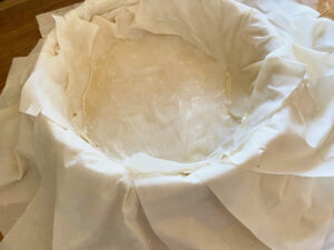 springform pan with phyllo dough